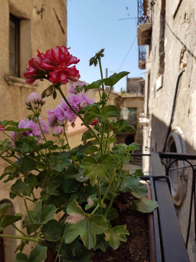 Taurasi Casa Vacanze Da Mammanonna מראה חיצוני תמונה